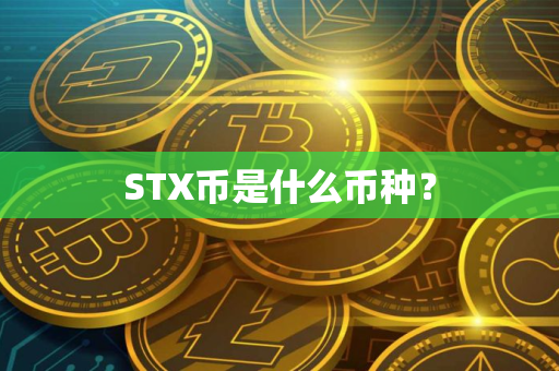 STX币是什么币种？