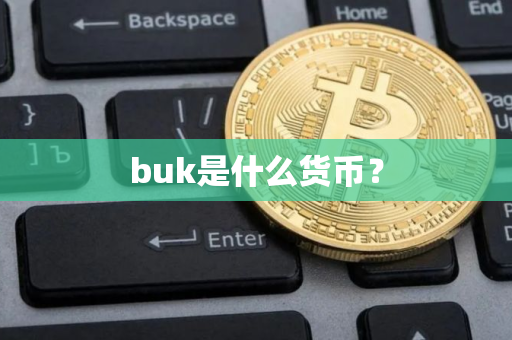 buk是什么货币？