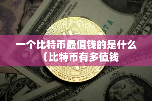 一个比特币最值钱的是什么（比特币有多值钱