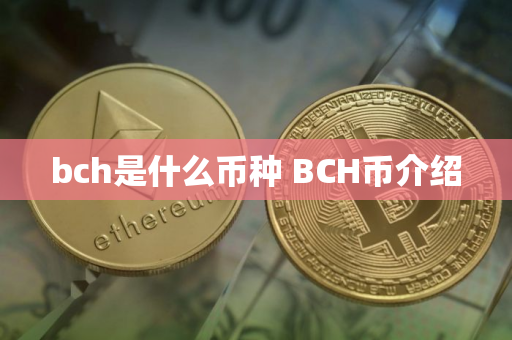 bch是什么币种 BCH币介绍