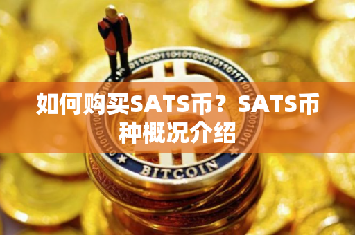 如何购买SATS币？SATS币种概况介绍