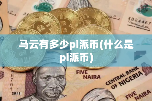 马云有多少pi派币(什么是pi派币)