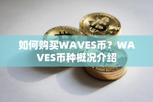 如何购买WAVES币？WAVES币种概况介绍