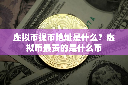 虚拟币提币地址是什么？虚拟币最贵的是什么币