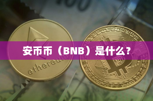 安币币（BNB）是什么？