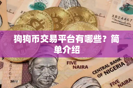 狗狗币交易平台有哪些？简单介绍