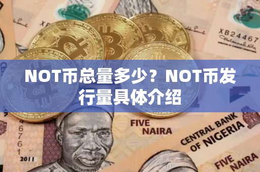 NOT币总量多少？NOT币发行量具体介绍