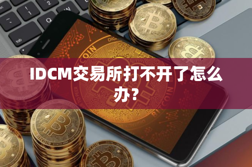IDCM交易所打不开了怎么办？