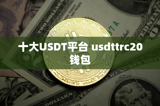 十大USDT平台 usdttrc20钱包