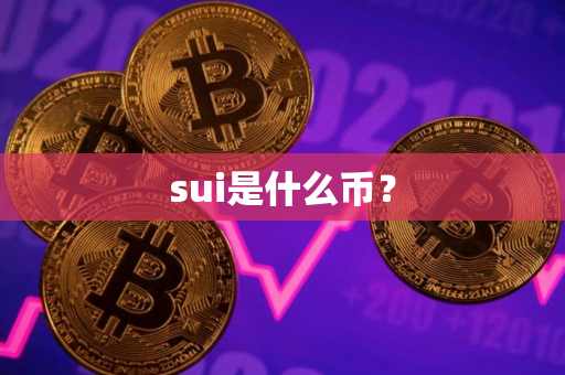 sui是什么币？