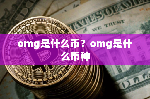 omg是什么币？omg是什么币种
