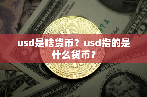 usd是啥货币？usd指的是什么货币？