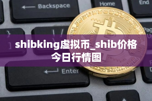 shibking虚拟币_shib价格今日行情图