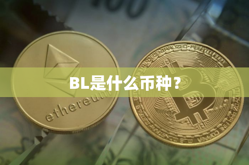 BL是什么币种？