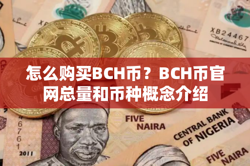 怎么购买BCH币?BCH币官网总量和币种概念介绍 怎么购买BCH币?BCH币官网总量和币种概念介绍