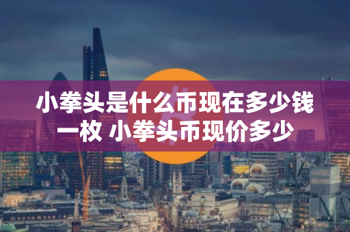 小拳头是什么币现在多少钱一枚 小拳头币现价多少