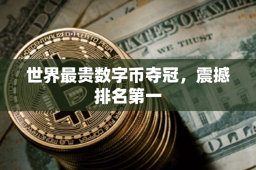 世界最贵数字币夺冠，震撼排名第一