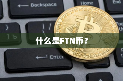 什么是FTN币？