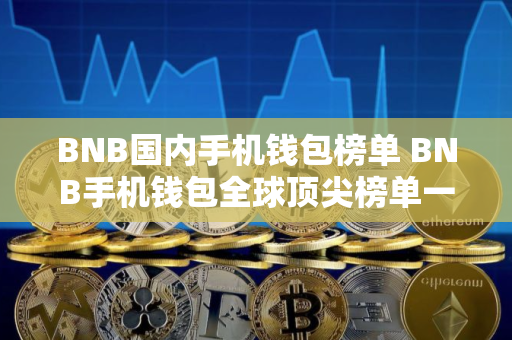 BNB国内手机钱包榜单 BNB手机钱包全球顶尖榜单一览