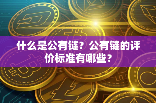 什么是公有链？公有链的评价标准有哪些？