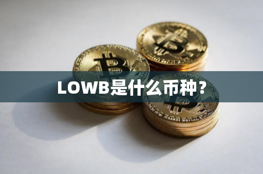 LOWB是什么币种? LOWB是什么币种?