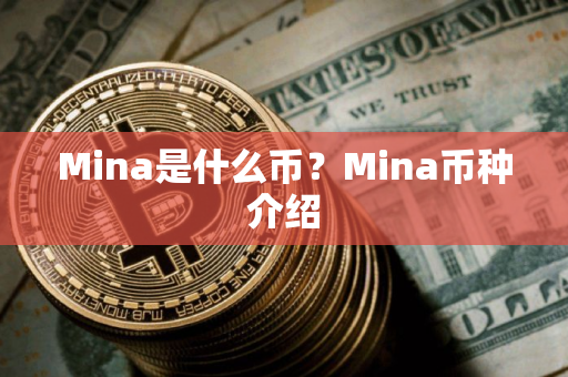 Mina是什么币？Mina币种介绍