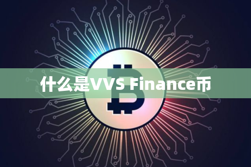 什么是VVS Finance币