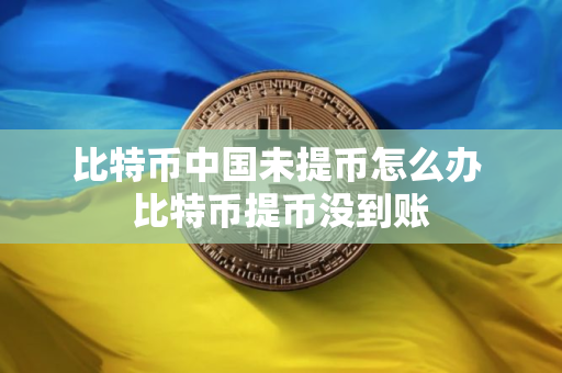 比特币中国未提币怎么办 比特币提币没到账