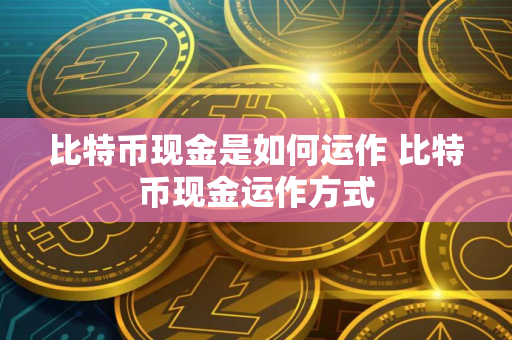 比特币现金是如何运作 比特币现金运作方式