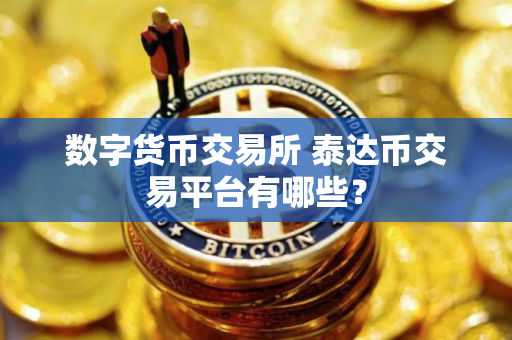 数字货币交易所 泰达币交易平台有哪些？