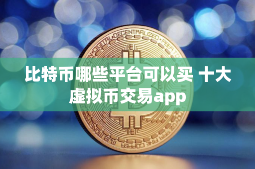比特币哪些平台可以买 十大虚拟币交易app
