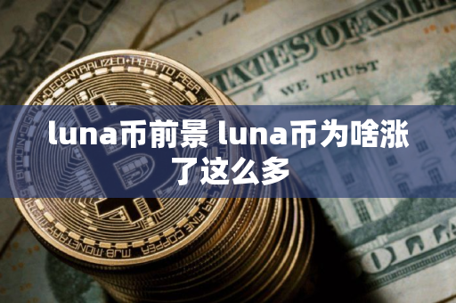 luna币前景 luna币为啥涨了这么多