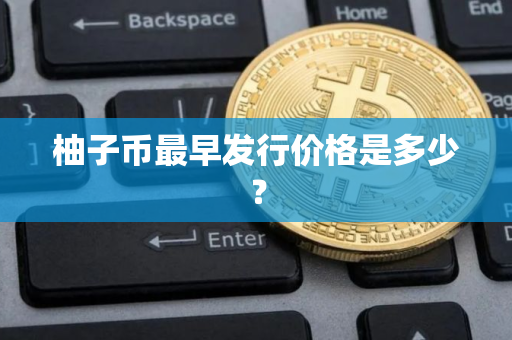 柚子币最早发行价格是多少? 柚子币最早发行价格是多少?