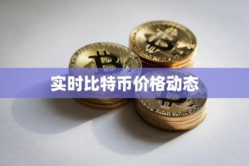 实时比特币价格动态