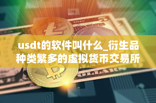 usdt的软件叫什么_衍生品种类繁多的虚拟货币交易所排行