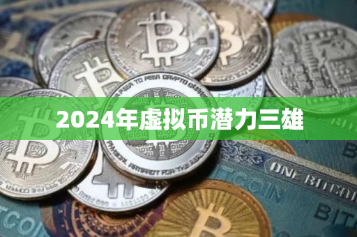 2024年虚拟币潜力三雄