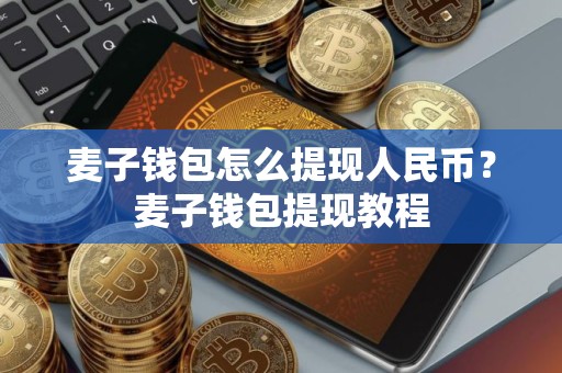 麦子钱包怎么提现人民币？麦子钱包提现教程