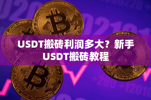 USDT搬砖利润多大？新手USDT搬砖教程