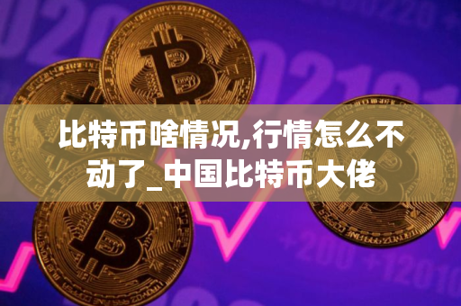 比特币啥情况,行情怎么不动了_中国比特币大佬