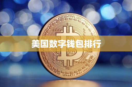 美国数字钱包排行
