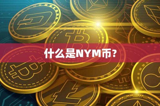 什么是NYM币?