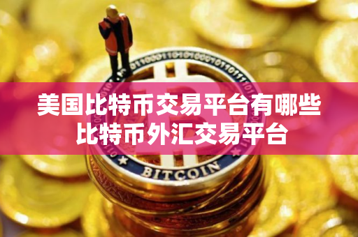 美国比特币交易平台有哪些 比特币外汇交易平台 美国比特币交易平台有哪些 比特币外汇交易平台
