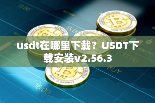 usdt在哪里下载？USDT下载安装v2.56.3