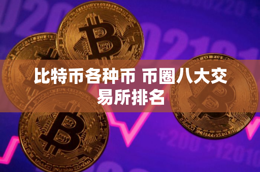 比特币各种币 币圈八大交易所排名