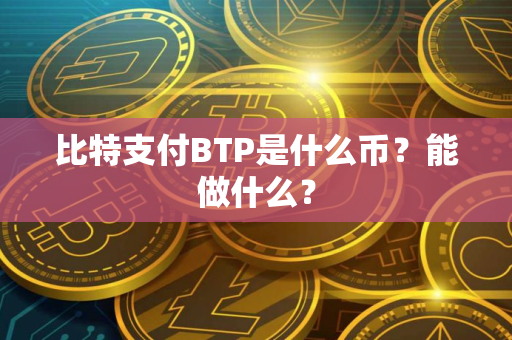 比特支付BTP是什么币？能做什么？