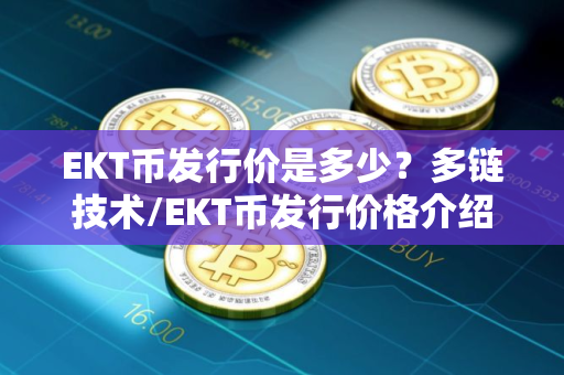 EKT币发行价是多少？多链技术/EKT币发行价格介绍