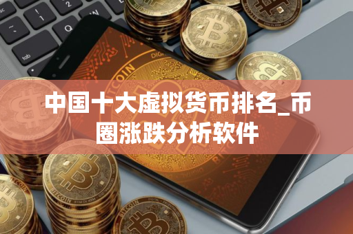 中国十大虚拟货币排名_币圈涨跌分析软件