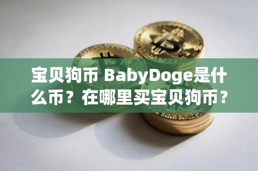 宝贝狗币 BabyDoge是什么币？在哪里买宝贝狗币？怎么买？