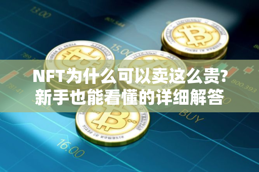 NFT为什么可以卖这么贵?新手也能看懂的详细解答