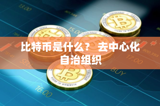 比特币是什么？ 去中心化自治组织
